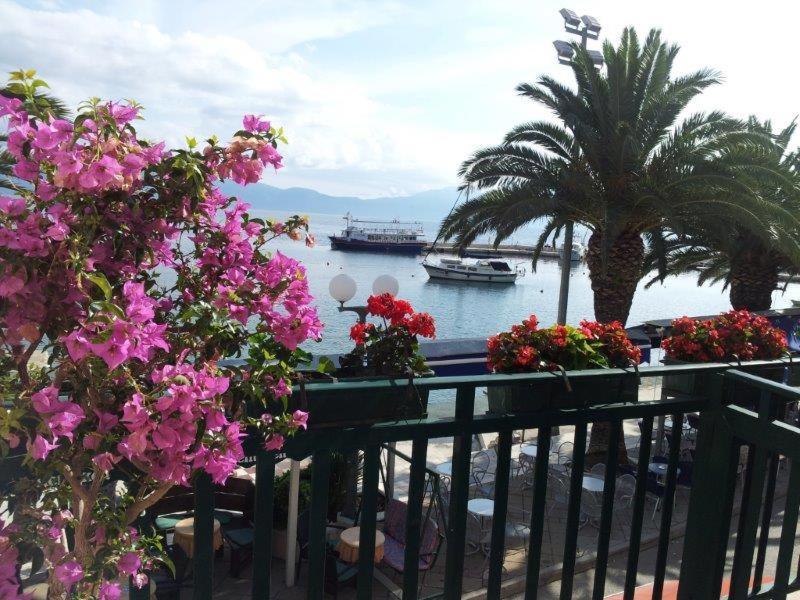 Apartman Iris Gradac  Exteriör bild